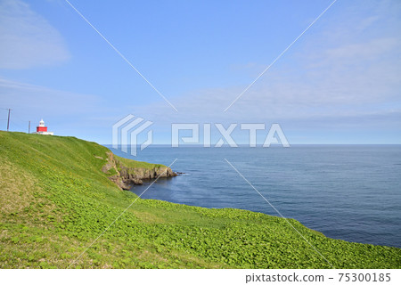 Kiritappu Cape / Yubo Cape Kiritappu Cape / Yubo Cape 75300185