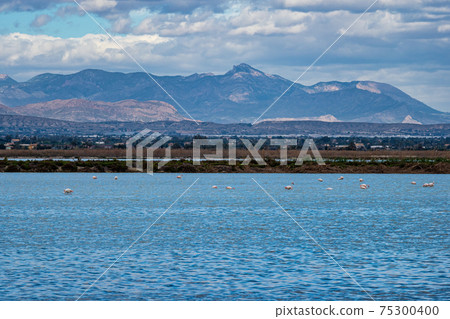Santa Pola salt works and bird reserve Elche Alicante Spain 75300400