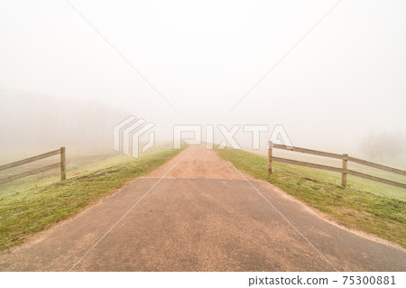 along the meadows there is a road with fog along the meadows there is a road with fog 75300881