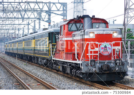 DD51 Naniwa Salon Car 75300984