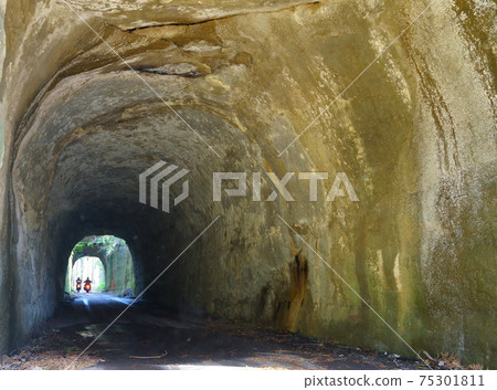 Unearthed Tsukizaki Tunnel (Ichihara City, Chiba Prefecture) 75301811