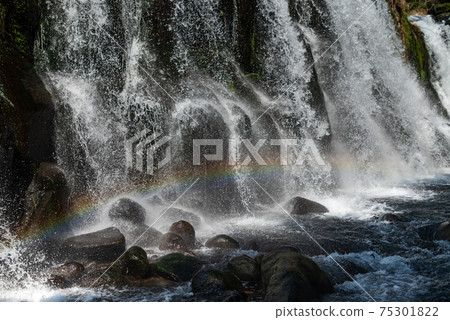 A spectacular view of Yokotaki, which has abundant water flowing downstream of the Kikuchi Gorge A spectacular view of Yokotaki, which has abundant water flowing downstream of the Kikuchi Gorge 75301822