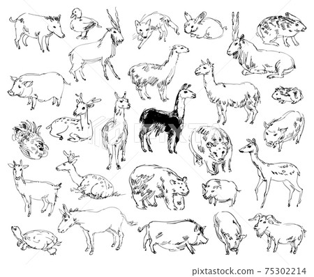 Wild Animals. Zoo. Set. Hand-drawn Wild Animals. Zoo. Set. Hand-drawn 75302214