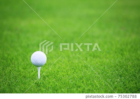 Golf ball on green grass background Golf ball on green grass background 75302788