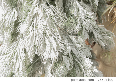 Beautiful Christmas pine in the snow on spring background 75304100
