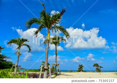 Superb view of Yonaha Maehama Beach on Miyakojima Superb view of Yonaha Maehama Beach on Miyakojima 75305157