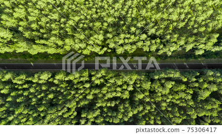 Top view of a highway road in the middle of the forest. Road separated two part of the pine wood. Top view of a highway road in the middle of the forest. Road separated two part of the pine wood. 75306417