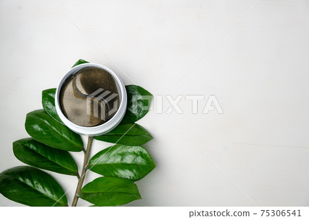 Hydrogel eye patches and green branch with leaves on a white background with copy space. Hydrogel eye patches and green branch with leaves on a white background with copy space. 75306541