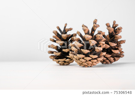 Brown pine cones isolated on the white table with copy space. Christmas decoration. Brown pine cones isolated on the white table with copy space. Christmas decoration. 75306548