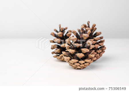 Brown pine cones isolated on the white table with copy space. Christmas decoration. Brown pine cones isolated on the white table with copy space. Christmas decoration. 75306549