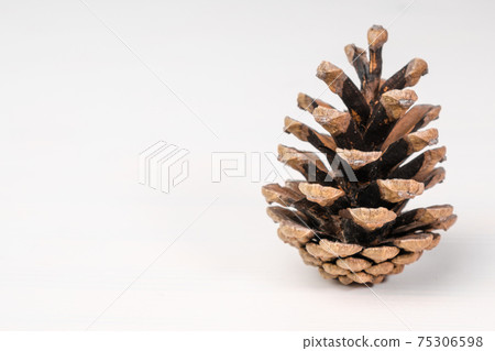 Brown pine cone isolated on the white background. Brown pine cone isolated on the white background. 75306598