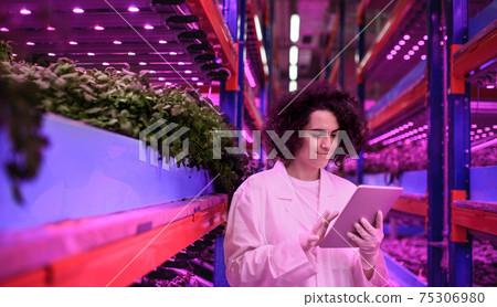 Worker with tablet on aquaponic farm, sustainable business and artificial lighting. 75306980