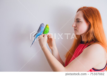 The beautiful woman admires her beautiful parrots 75307882