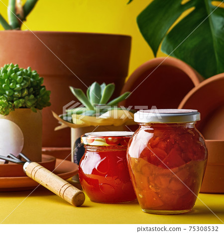 Plant for decoration in a pot. clay pots in assortment for gardening on a yellow background 75308532