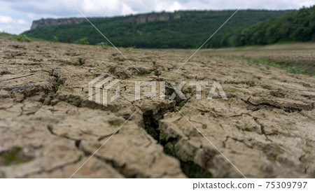 Dry land texture close up. Rough pattern. Global warming concept. Dry land texture close up. Rough pattern. Global warming concept. 75309797