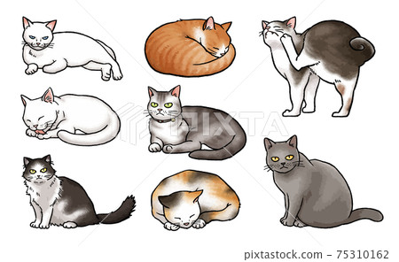 [手繪矢量動物插圖素材] 8種貓插圖集 75310162