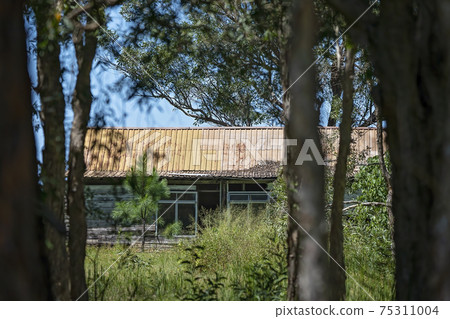 Old Shack In The Trees 75311004