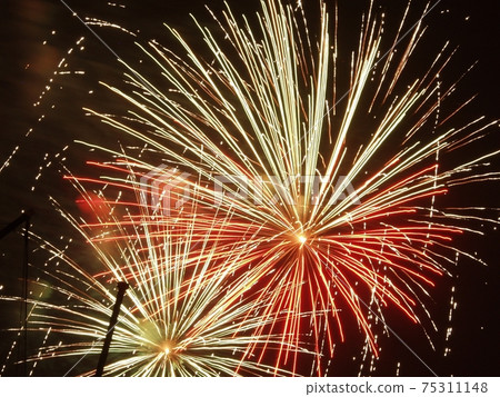 The beauty of chrysanthemum fireworks 75311148