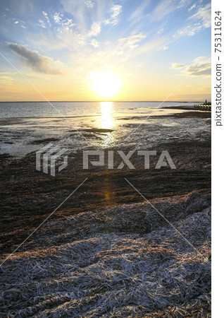 Autumn dusk Todowara 75311624