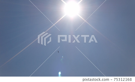 Sun rays and black kites Sun rays and black kites 75312168