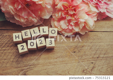 Hello 2023 alphabet letter with space copy on wooden background Hello 2023 alphabet letter with space copy on wooden background 75313121