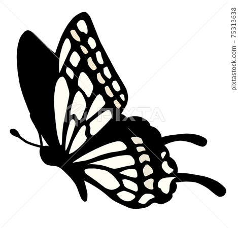 Swallowtail butterfly Swallowtail butterfly 75313638