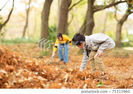孩子們玩落葉 孩子們玩落葉 75313960