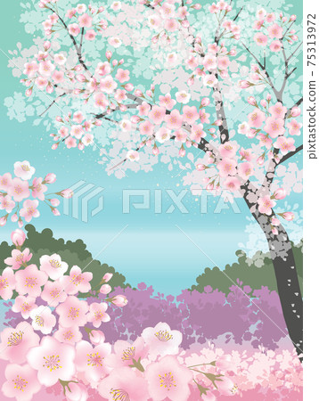 Vector illustration of spring landscape with cherry trees in full bloom. Design for social media, party invitation, Print, Frame Clip Art and Business Advertisement and Promotion 75313972