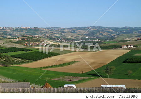 The Piemonte wine region of northern Italy. 75313996