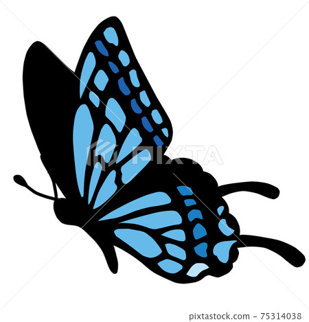 Swallowtail butterfly - Stock Illustration [75314038] - PIXTA