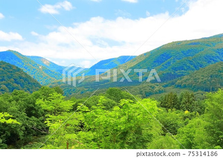 伏山山腳下的新鮮綠色 伏山山腳下的新鮮綠色 75314186