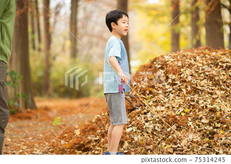 Children playing with fallen leaves 75314245