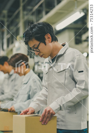 Factory 75314253