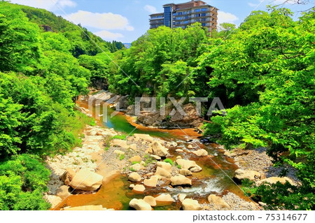 Fresh green Rairaikyo Fresh green Rairaikyo 75314677