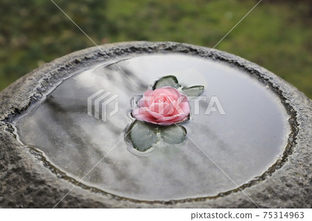 Issa Soju Memorial Hall Water bowl (chozubachi) Nagareyama City, Chiba Prefecture 75314963