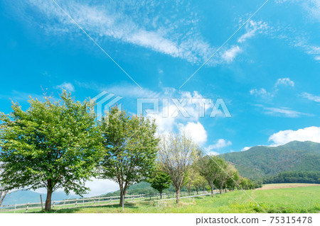 廣瀨高原周邊的夏日風光 廣瀨高原周邊的夏日風光 75315478