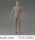 3d rendering illustration of muscle 75315602