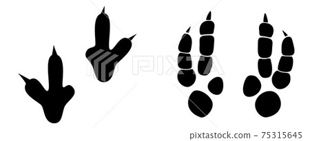 Dinosaur footprint tracks vector set illustration. Background with paw, claw predator. Dinosaur footprint illustration perfect for textile, wrap and wallpaper and design. 75315645