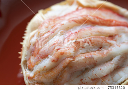 馬毛蟹殼 75315820