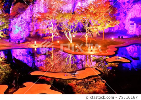 Illumination of Matsushima Rikyu Illumination of Matsushima Rikyu 75316167