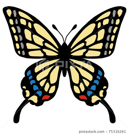 Swallowtail butterfly - Stock Illustration [75316261] - PIXTA