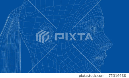 Wireframe portrait of a young beautiful girl Wireframe portrait of a young beautiful girl 75316688