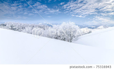 Daegwallyeong Sheep Farm. 11 Daegwallyeong Sheep Farm. 11 75316943