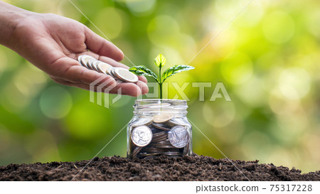 A tree that grows from a money bottle and a hand that gives a coin. Tree. Financial ideas and growing economic direction. A tree that grows from a money bottle and a hand that gives a coin. Tree. Financial ideas and growing economic direction. 75317228