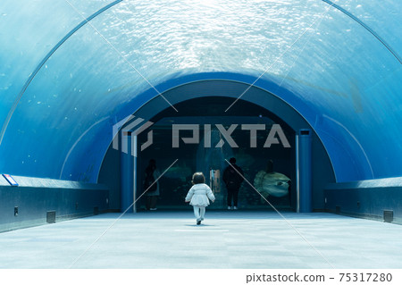 水族館/水下隧道 75317280