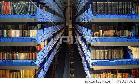 Kyushu University Library Kyushu University Library 75317301