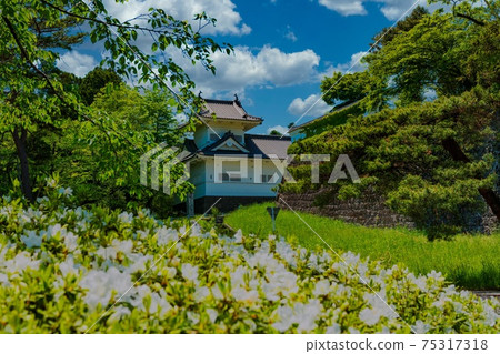 新鮮綠色（仙台城堡）泥牆的主要城門冷杉 75317318