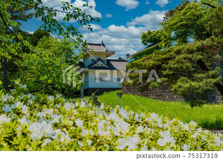 新鮮綠色（仙台城堡）泥牆的主要城門冷杉 75317319