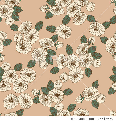 筆圖畫花。無縫模式。紡織品,牆紙和包裝紙設計。 筆圖畫花。無縫模式。紡織品,牆紙和包裝紙設計。 75317660
