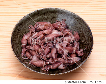 煮螢火蟲魷魚 煮螢火蟲魷魚 75317756